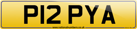 P12 PYA