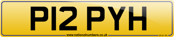 P12 PYH