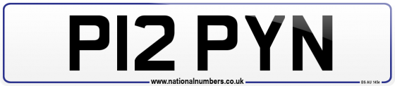 P12 PYN