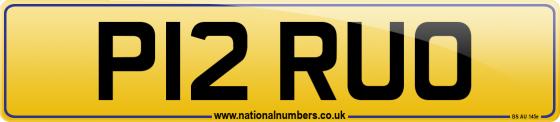 P12 RUO