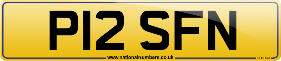 P12 SFN