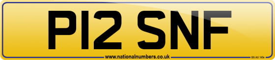 P12 SNF