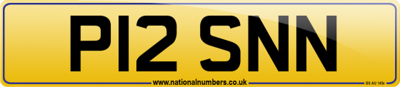 P12 SNN