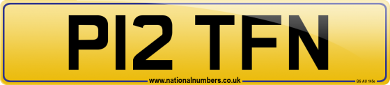 P12 TFN