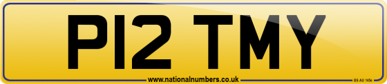 P12 TMY