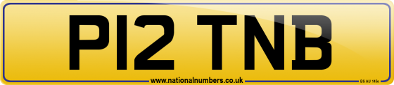P12 TNB