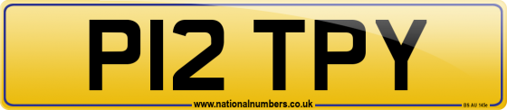 P12 TPY