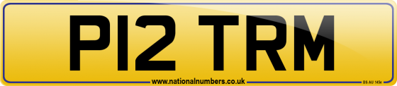 P12 TRM