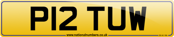 P12 TUW