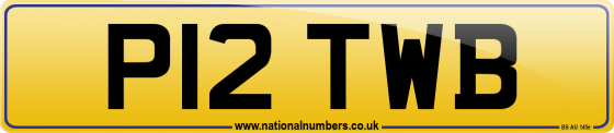 P12 TWB