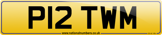 P12 TWM