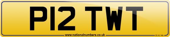 P12 TWT