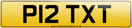 P12 TXT