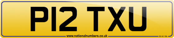 P12 TXU