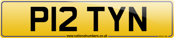 P12 TYN