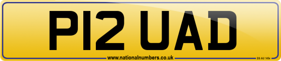 P12 UAD