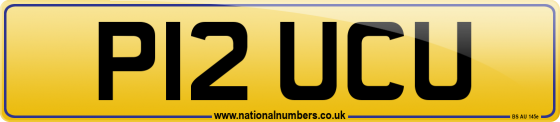 P12 UCU
