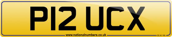 P12 UCX