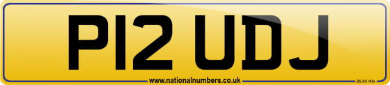P12 UDJ