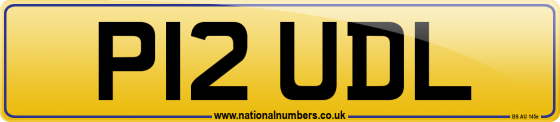 P12 UDL
