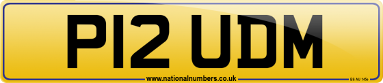 P12 UDM