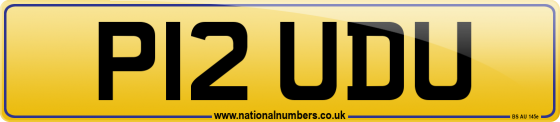 P12 UDU