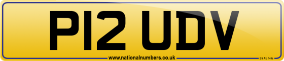 P12 UDV