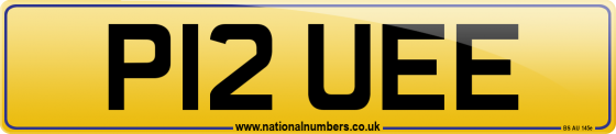 P12 UEE