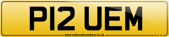 P12 UEM