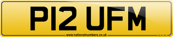 P12 UFM