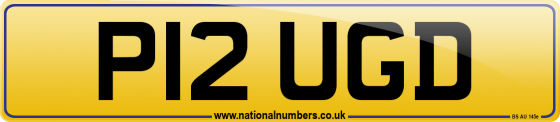 P12 UGD