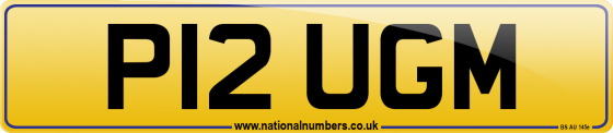 P12 UGM