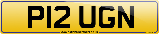 P12 UGN
