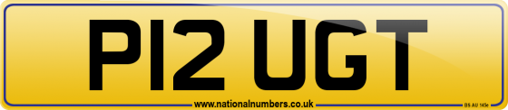 P12 UGT