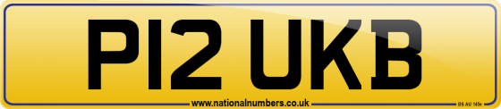 P12 UKB