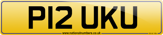 P12 UKU
