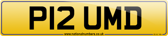 P12 UMD
