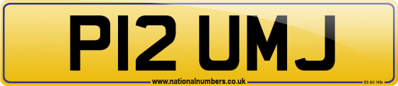 P12 UMJ