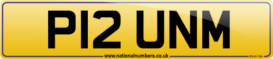 P12 UNM