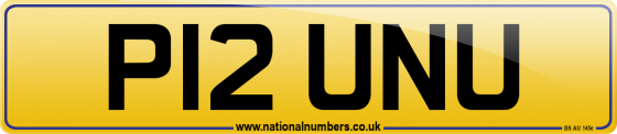 P12 UNU
