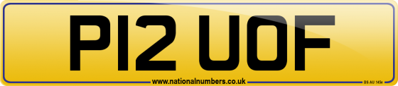 P12 UOF