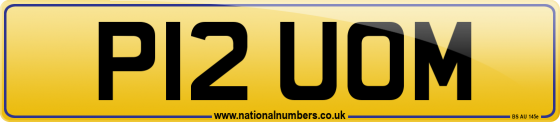 P12 UOM