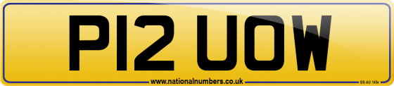 P12 UOW