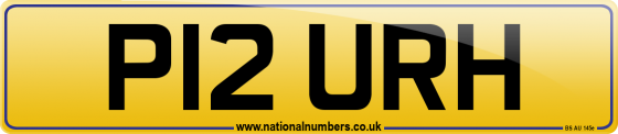 P12 URH