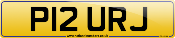 P12 URJ