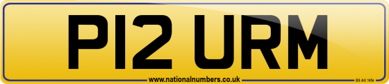 P12 URM