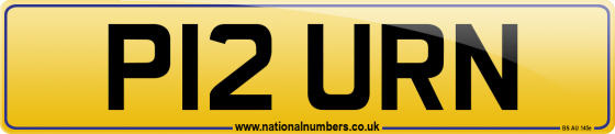 P12 URN