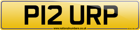P12 URP