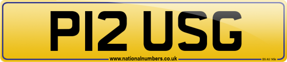 P12 USG