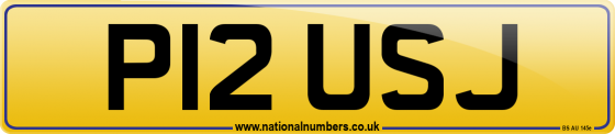 P12 USJ